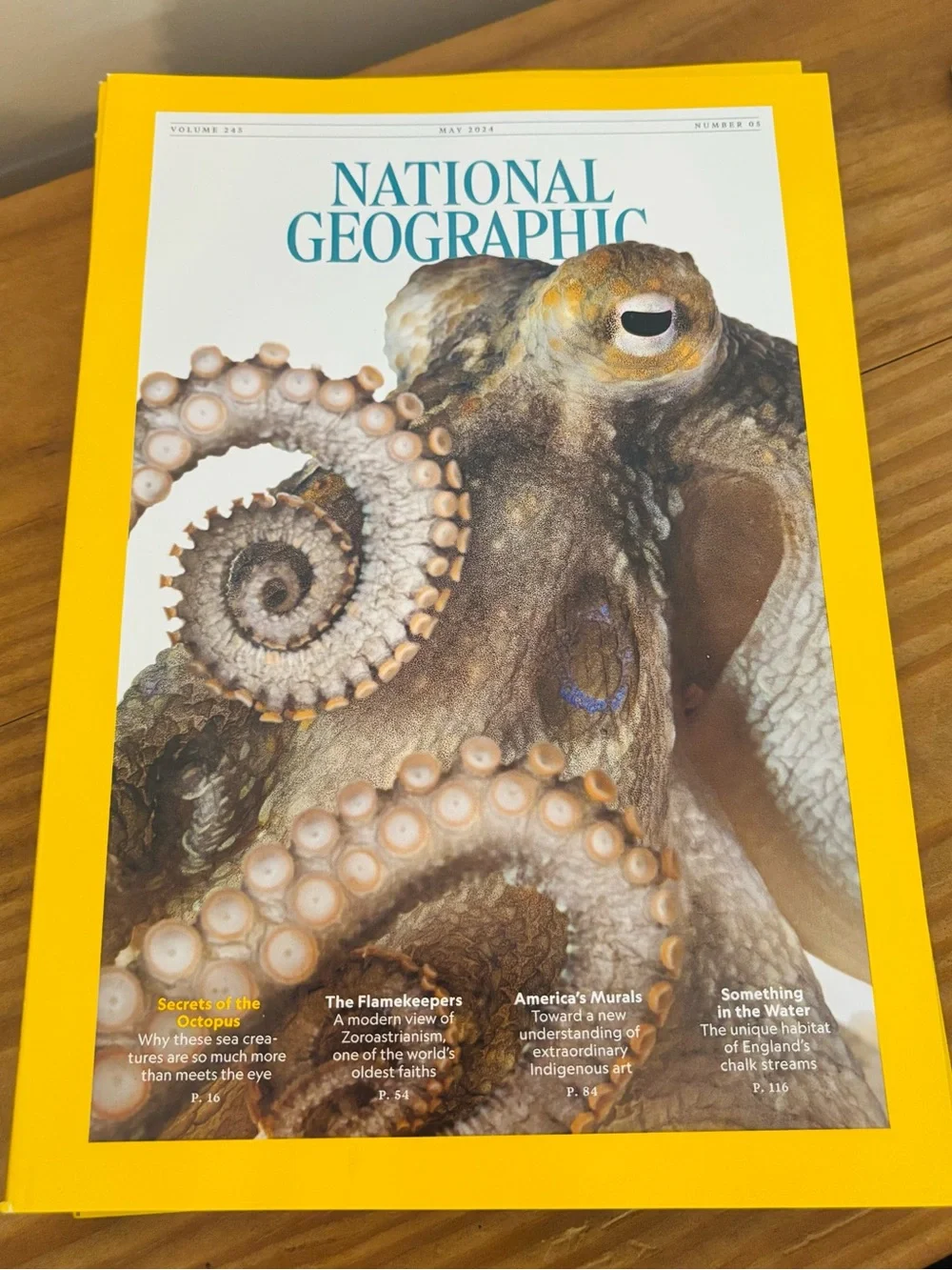 💥 2024 National Geographic Set: March, April, May, June, July, August, October